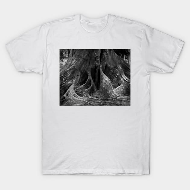 Secret Tree T-Shirt by AmyBrinkman